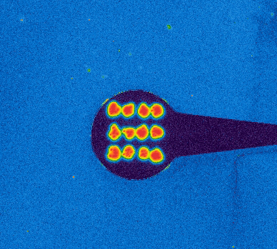 Beads from PolyAn printed on chips from Little Things Factory with an Autodrop Gantry System